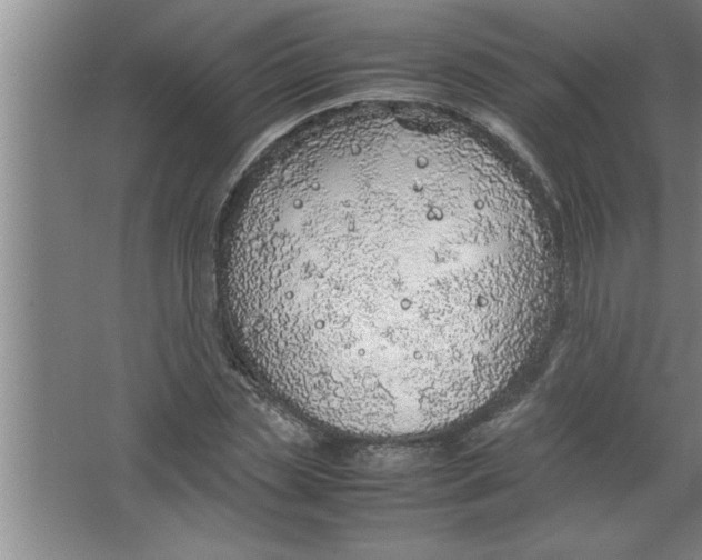 X0000067480829200604281918