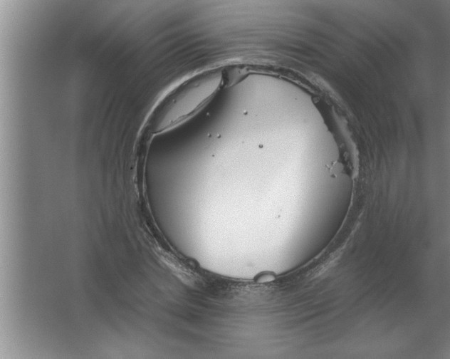 X0000067480830200604281918