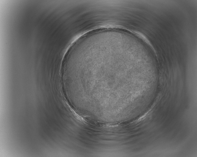 X0000067480831200604281918