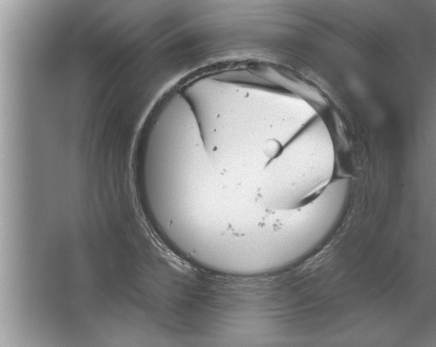 X0000067480832200604281918