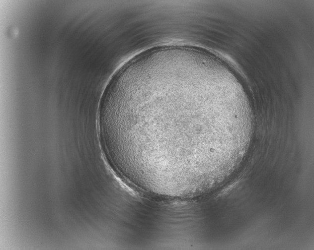 X0000067480839200604281918