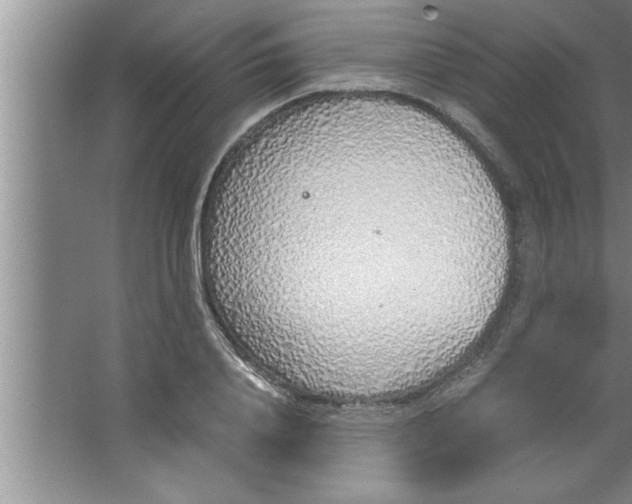 X0000067480840200604281918