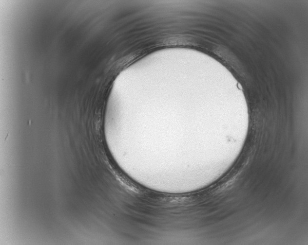 X0000067480841200604281918