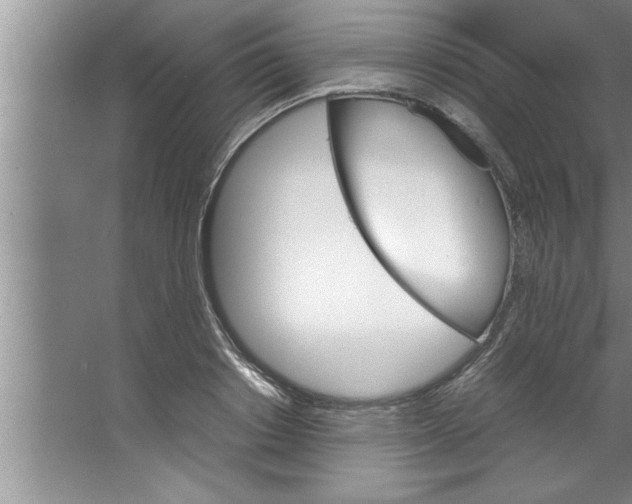 X0000067480842200604281918