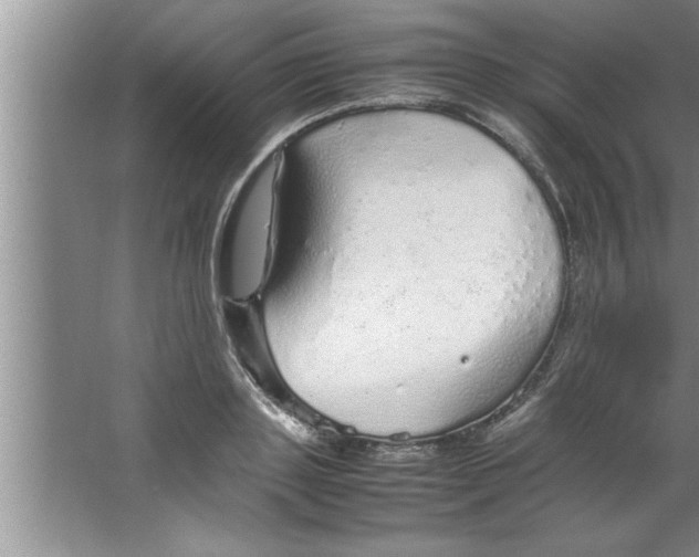 X0000067480843200604281918