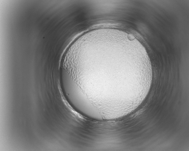 X0000067480844200604281918