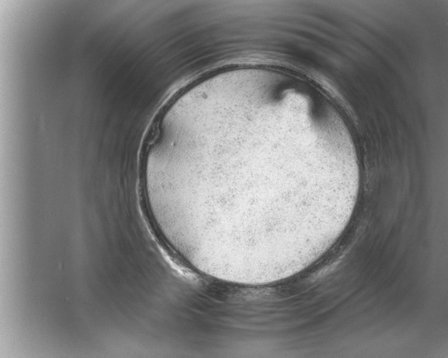 X0000067480845200604281918