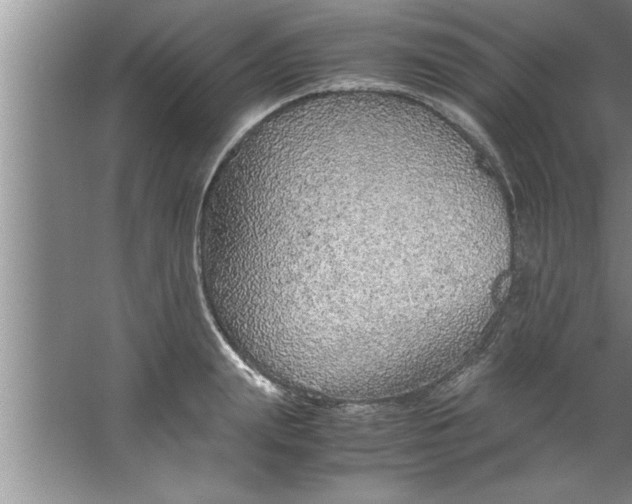 X0000067480847200604281918