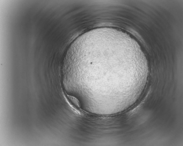 X0000067480849200604281918