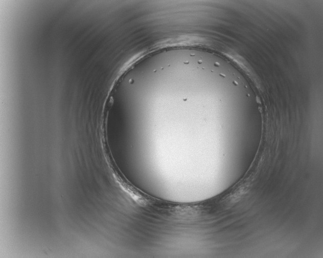 X0000067480850200604281918