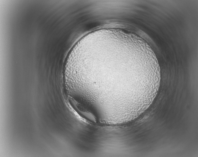 X0000067480852200604281918