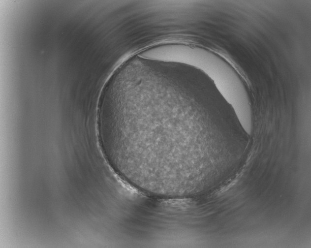 X0000067480853200604281918