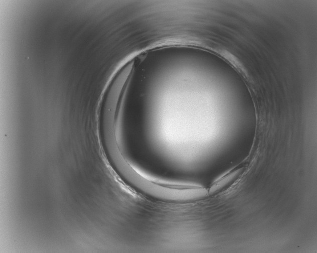 X0000067480854200604281918