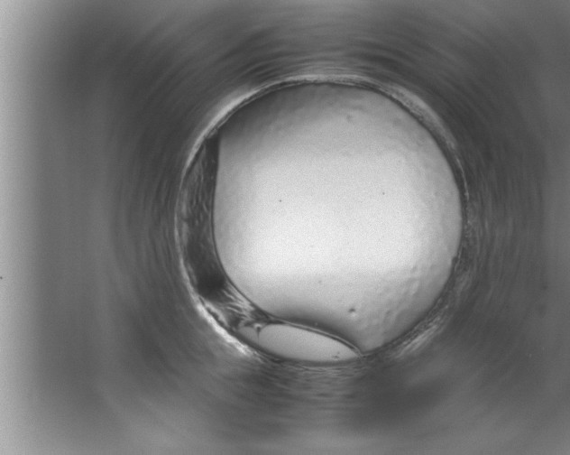 X0000067480855200604281918