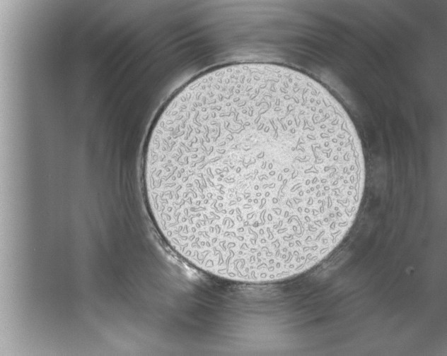 X0000067480856200604281918