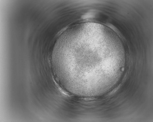 X0000067480857200604281918