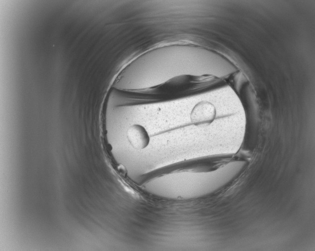 X0000067480858200604281918