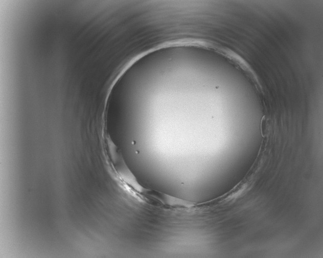 X0000067480860200604281918