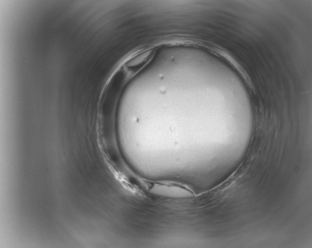 X0000067480861200604281918