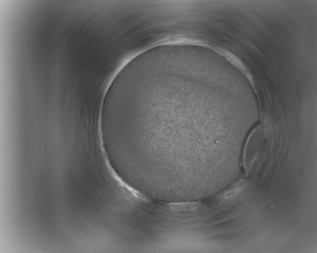 X0000067480863200604281918