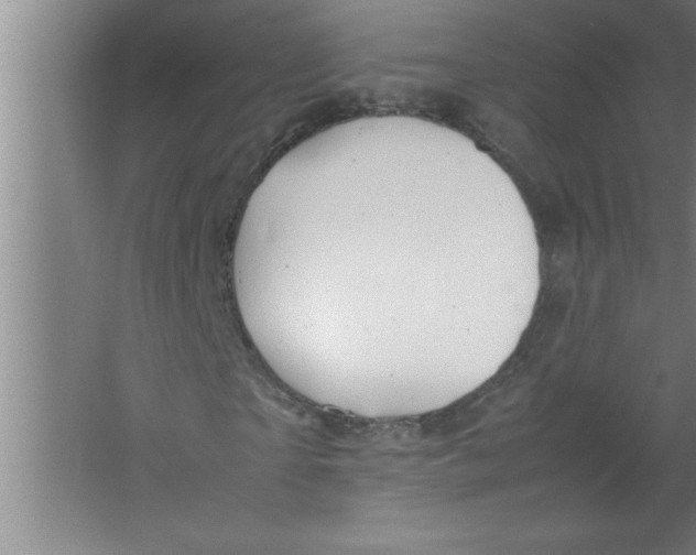 X0000067480865200604281917