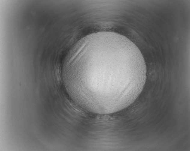 X0000067480866200604281917