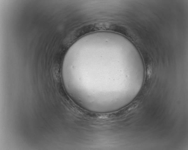 X0000067480867200604281917