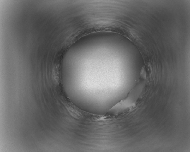 X0000067480868200604281917