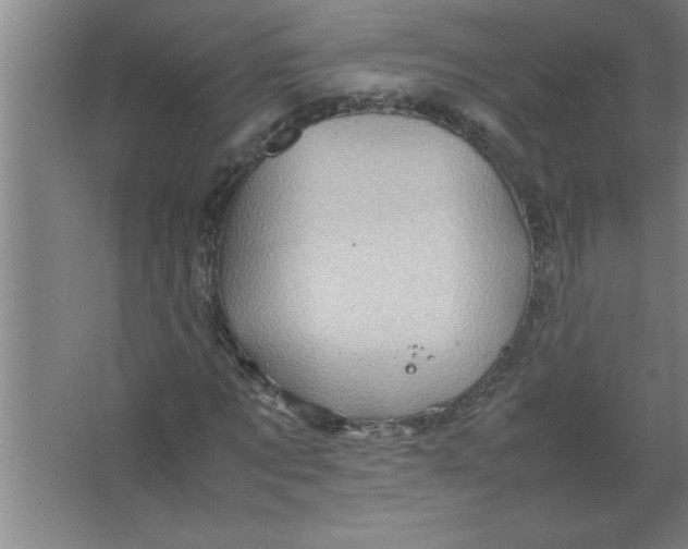 X0000067480869200604281917