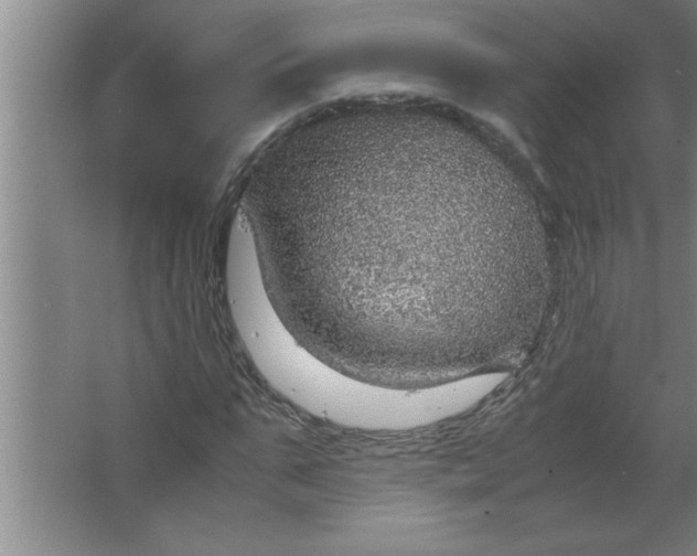 X0000067480871200604281917