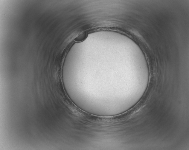 X0000067480873200604281917