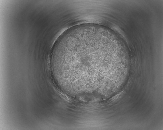 X0000067480875200604281917