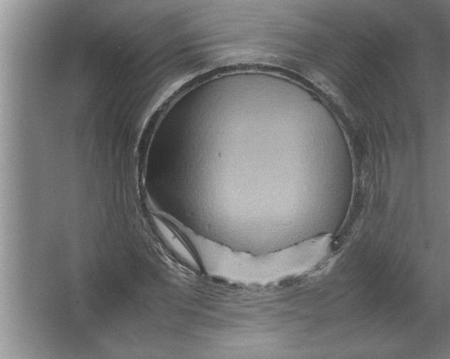 X0000067480877200604281917