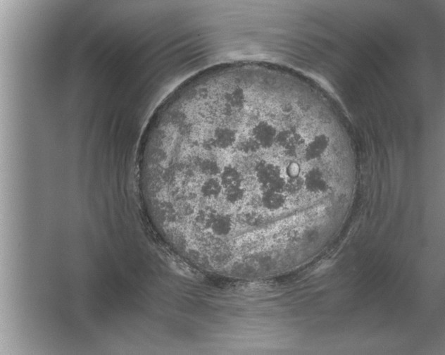 X0000067480879200604281917