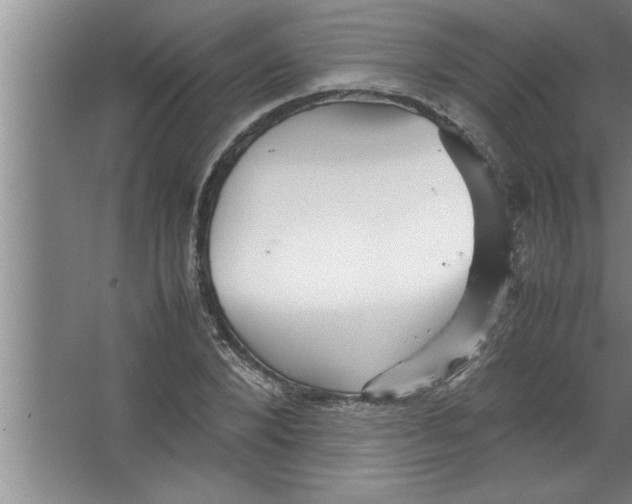 X0000067480880200604281917