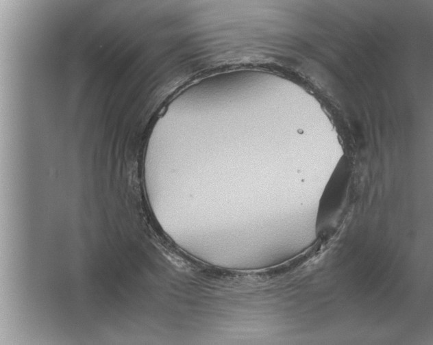 X0000067480881200604281917