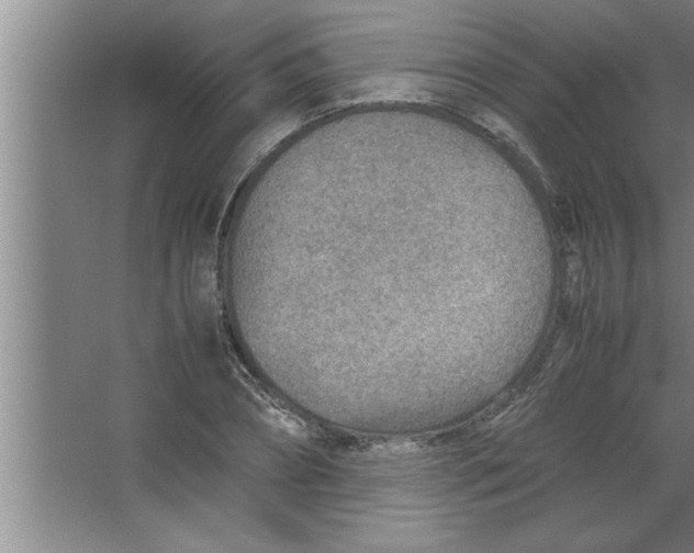 X0000067480882200604281917