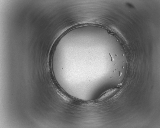 X0000067480884200604281917