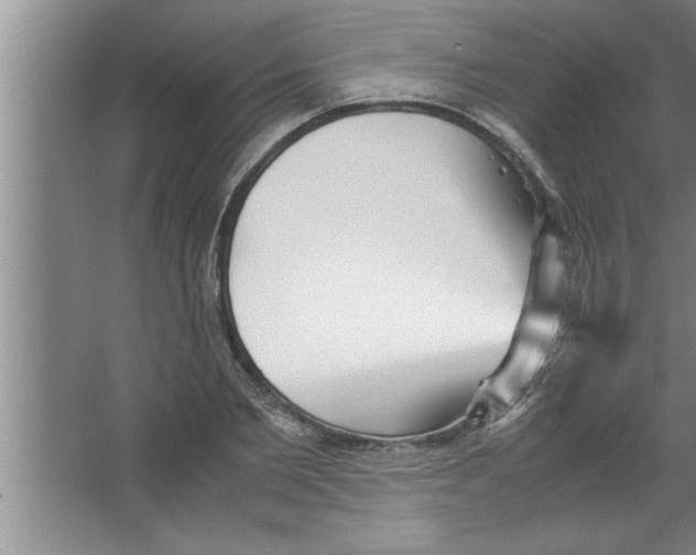 X0000067480885200604281917