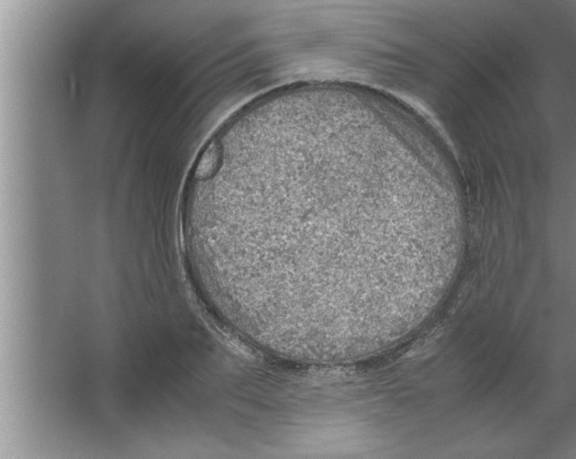 X0000067480887200604281917