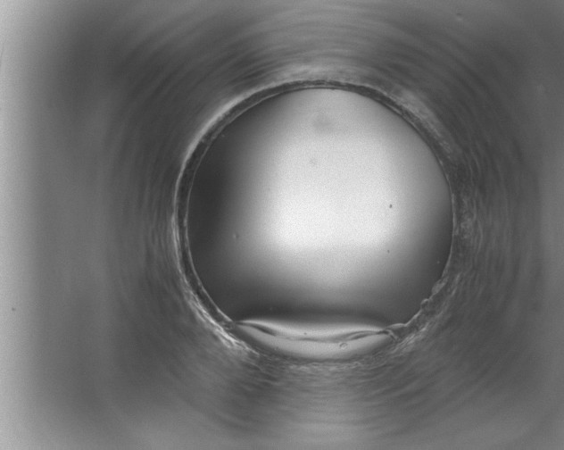 X0000067480888200604281917