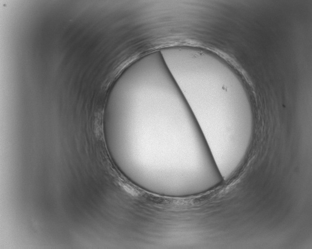 X0000067480889200604281917