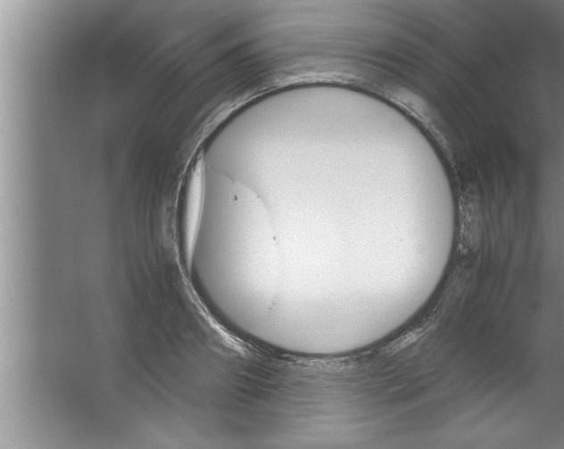 X0000067480890200604281917