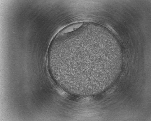 X0000067480891200604281917