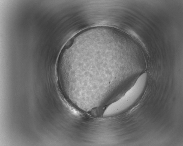 X0000067480892200604281917