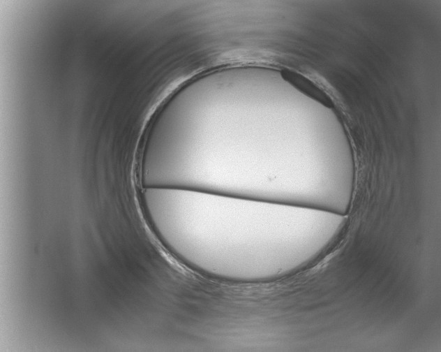 X0000067480893200604281917