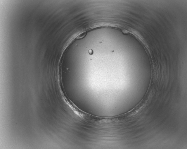 X0000067480898200604281917