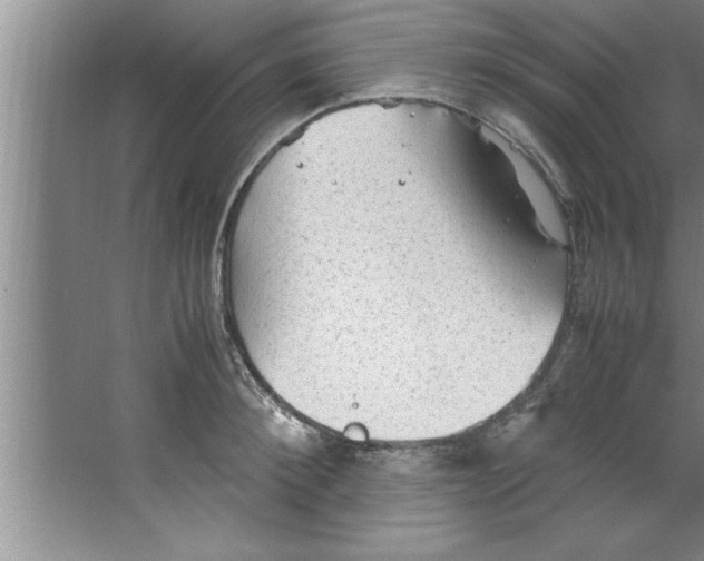 X0000067480900200604281917