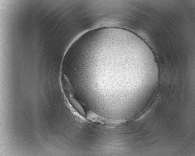 X0000067480904200604281917