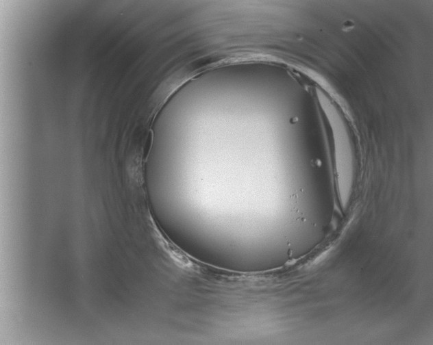 X0000067480905200604281917